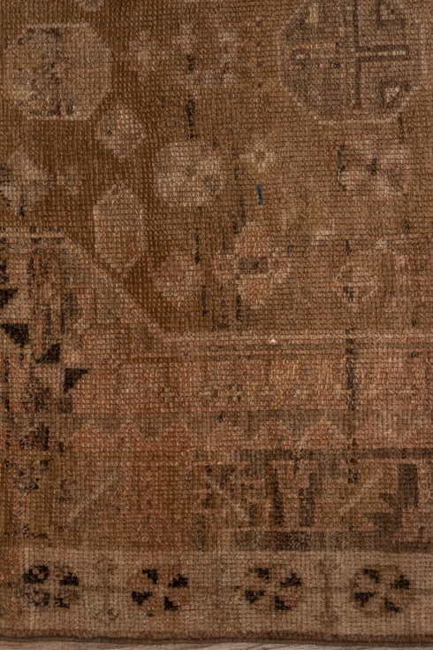 Antique Shiraz Area Rug (4' x 5')